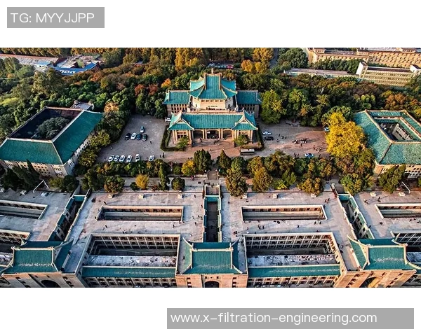 武汉篮球队的洲际杯征程与奋斗精神全景回顾