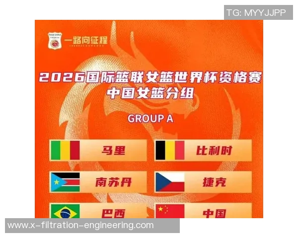 武汉篮球队在世界杯预选赛中的个人能力分析与表现评估