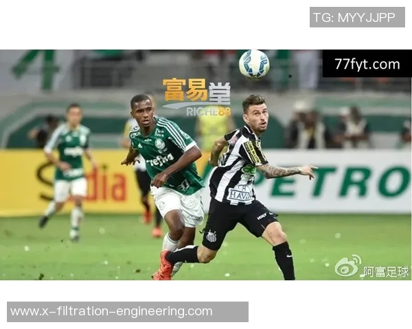 武汉足球队速度领跑最新足球速度TOP10榜单解析