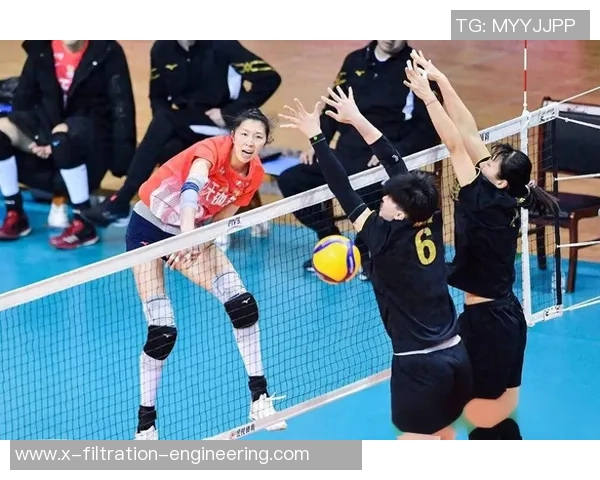 聚焦排球：上海排球队的技术话题